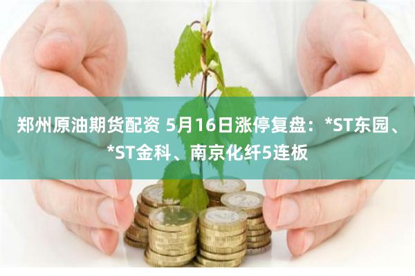 郑州原油期货配资 5月16日涨停复盘：*ST东园、*ST金科、南京化纤5连板