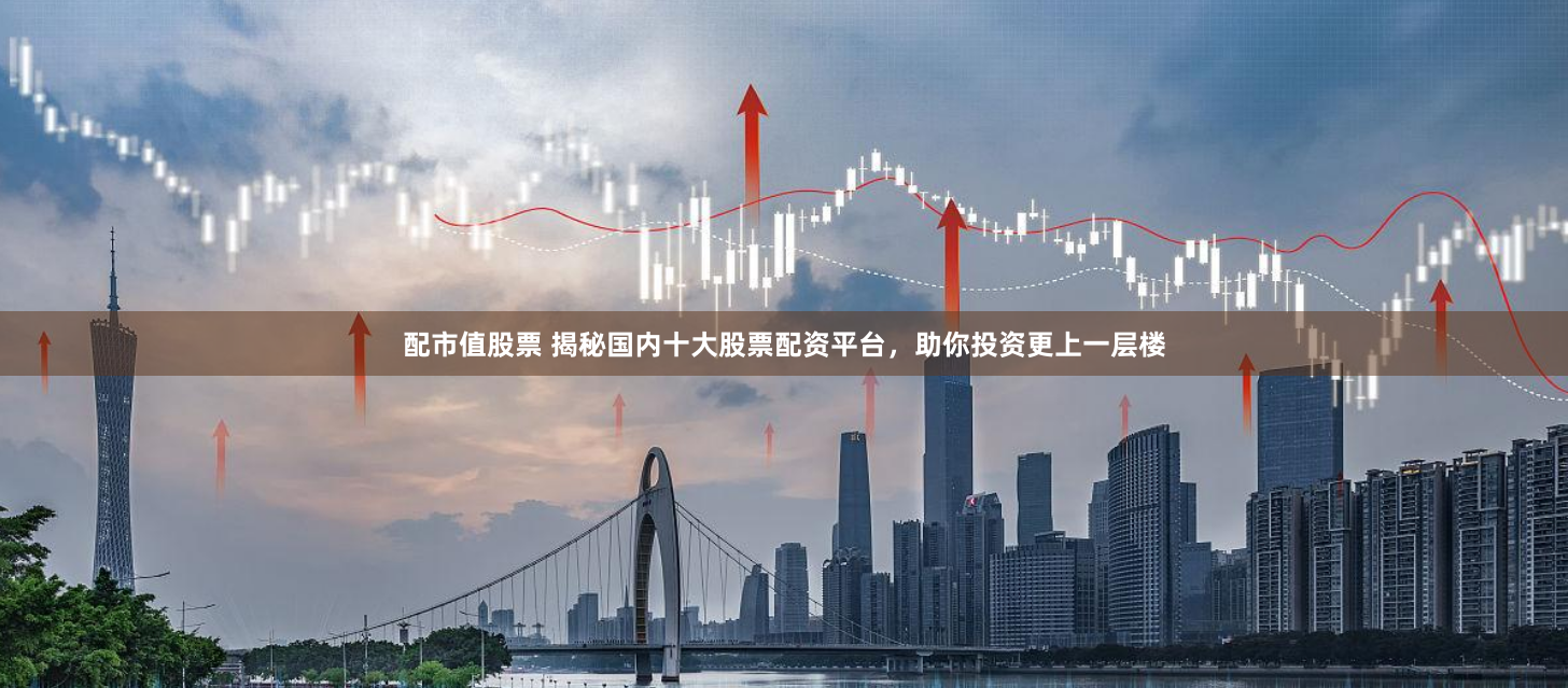 配市值股票 揭秘国内十大股票配资平台，助你投资更上一层楼