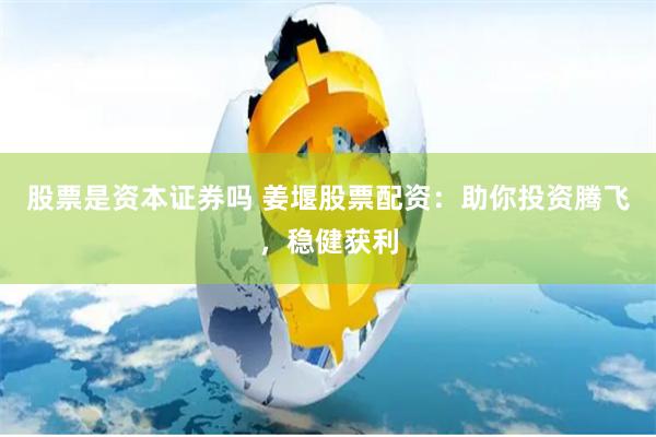 股票是资本证券吗 姜堰股票配资：助你投资腾飞，稳健获利